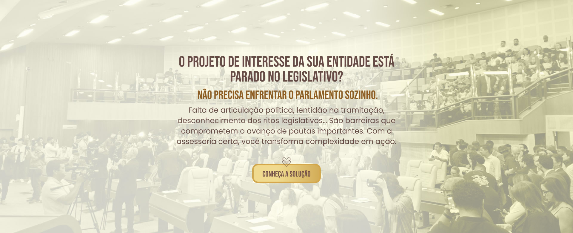 CONSULTORIA E ASSESSORIA PARLAMENTAR EM PROJETOS