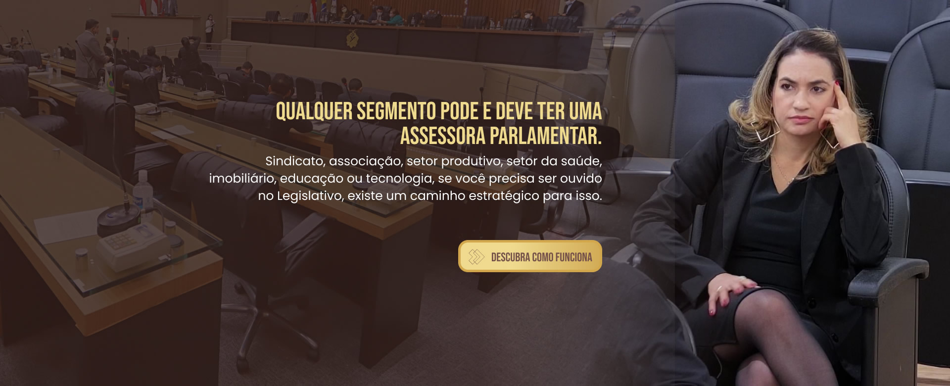 CONSULTORIA E ASSESSORIA PARLAMENTAR EM PROJETOS